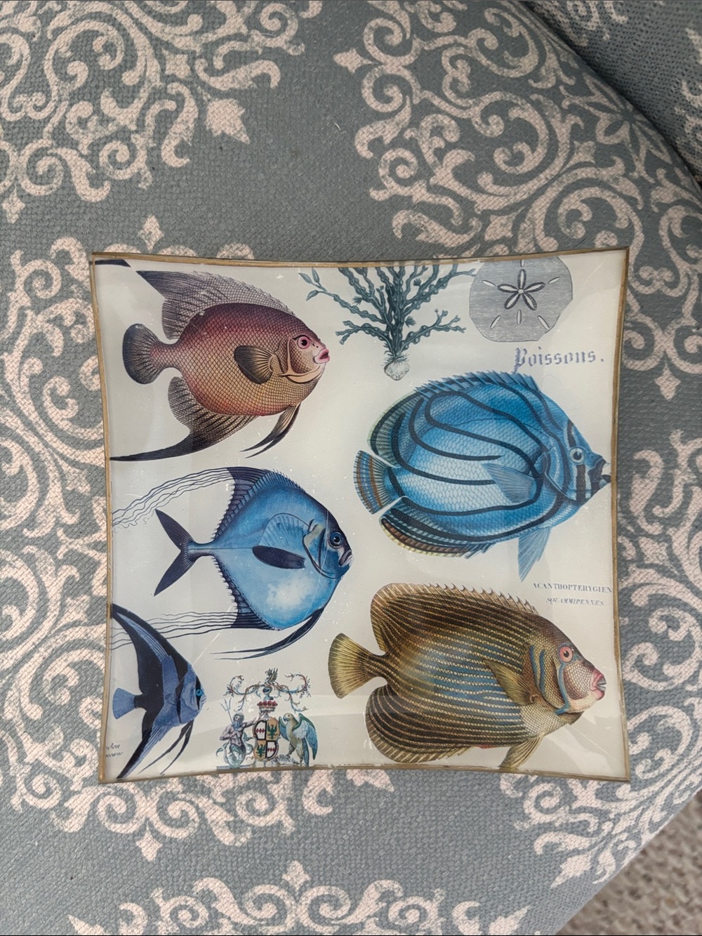 Michel Design Works plate